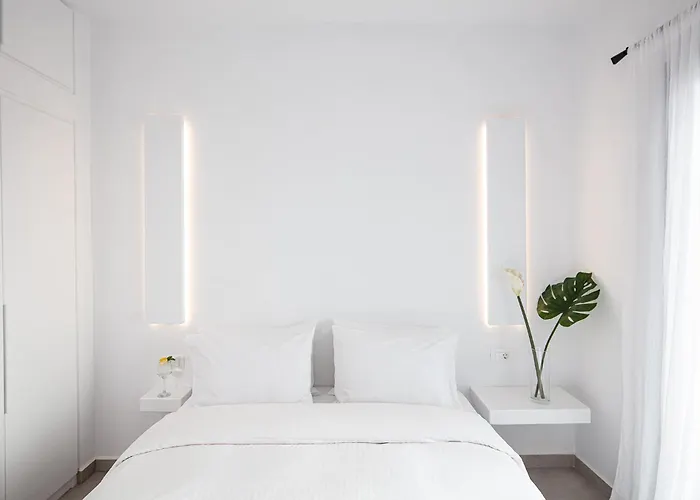 Ventus 帕诺尔莫斯米科诺斯