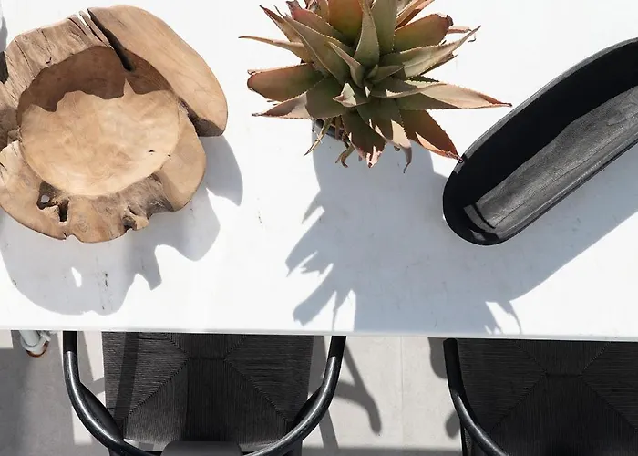 Ventus * 帕诺尔莫斯米科诺斯